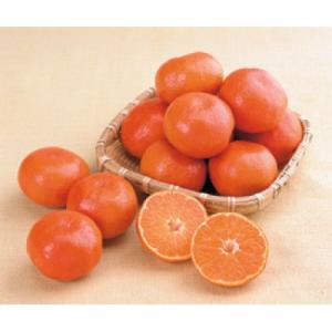 ふるさと納税 まんのう町 訳あり小原紅早生みかん(小玉サイズ) 約4.5kg (+傷み補てん分500g)｜Yahoo!ふるさと納税