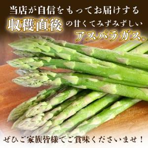 ふるさと納税 富良野市 2027年先行予約 北...の詳細画像1