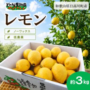 ふるさと納税 日高川町 【低農薬・ノーワックス】国産レモン 3kg/和歌山県日高川町産