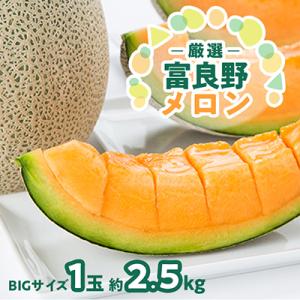 ふるさと納税 富良野市 【2026年発送】北海道富良野メロン『厳選』BIGサイズ1玉(約2.5kg)