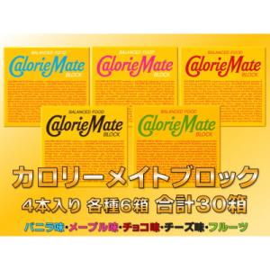 ふるさと納税 那賀町 「大塚製薬」カロリーメイトブロック5種(チョコ・フルーツ・バニラ・チーズ・メープル)各6箱　計30箱