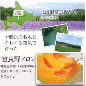 ふるさと納税 富良野市 2026年先行予約 【...の詳細画像2