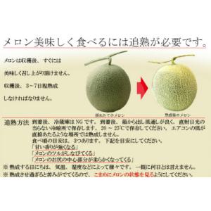 ふるさと納税 富良野市 2026年先行予約 【...の詳細画像3