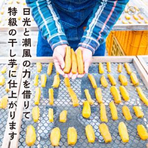 ふるさと納税 大洗町 【先行予約 2026年1...の詳細画像2