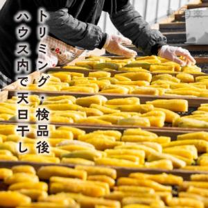 ふるさと納税 大洗町 【先行予約 2026年1...の詳細画像3