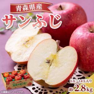 ふるさと納税 青森市 【11月下旬より発送開始】産地直送 青森県産サンふじ 3キロ箱 6〜14玉 青森県産りんご