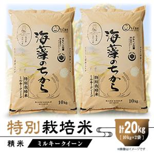 ふるさと納税 小矢部市 特別栽培米20kg (精米/ミルキークイーン10kg×2)