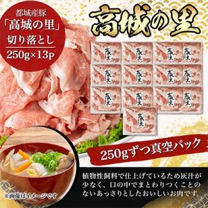 ふるさと納税 都城市 都城産豚「高城の里」切落...の詳細画像2