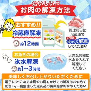 ふるさと納税 都城市 都城産豚「高城の里」切落...の詳細画像3