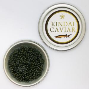ふるさと納税 印南町 近大キャビア10g×2個