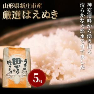 ふるさと納税 新庄市 新米　令和8年産  厳選はえぬき(精米)5kg
