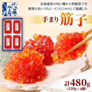 ふるさと納税 石狩市 佐藤水産の手まり筋子 480g(120g×4個)