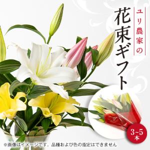 ふるさと納税 佐倉市 ユリ農家から直送!笑顔引き...の商品画像