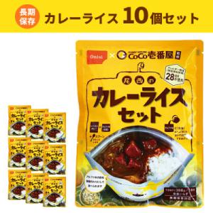 ふるさと納税 江南市 Coco壱番屋監修 尾西のカレーライスセット 10食セット