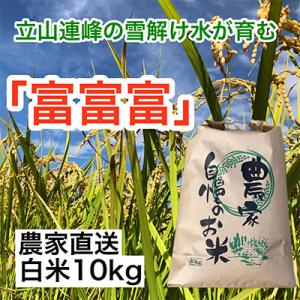 ふるさと納税 魚津市 農家直送「富山米　富富富」10kg(白米)