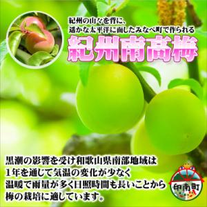ふるさと納税 印南町 とまと梅 100g×5個の詳細画像2