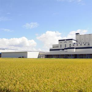 ふるさと納税 深川市 【令和8年産・先行予約】...の詳細画像3