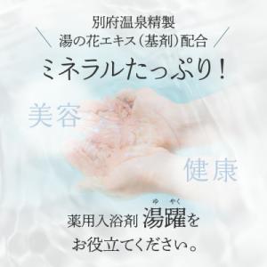 ふるさと納税 別府市 【60g×4種セット】薬...の詳細画像3
