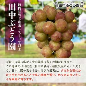 ふるさと納税 河内長野市 しっとり柿チップス6...の詳細画像3