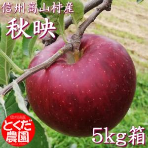 ふるさと納税 高山村 高山村産りんご(秋映)5kg箱