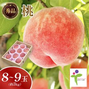 ふるさと納税 山梨市 もも(8〜9玉)/80