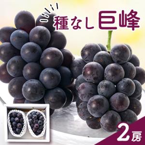 ふるさと納税 山梨市 種なし巨峰(2房)