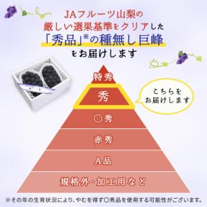 ふるさと納税 山梨市 種なし巨峰(2房)の詳細画像1