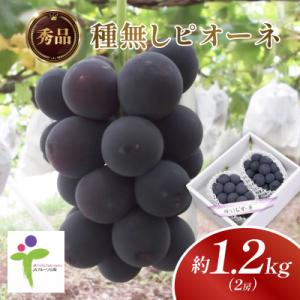 ふるさと納税 山梨市 種なしピオーネ(2房)/80