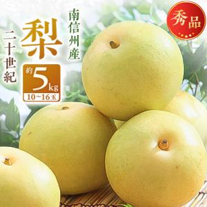 ふるさと納税 飯田市 【南信州産】二十世紀　秀品　約5kg　(10〜16玉)【2026年9月上旬〜順...