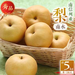 ふるさと納税 飯田市 【南信州産】南水　秀品　約5kg　(8〜16玉)【2026年9月中旬〜順次発送】