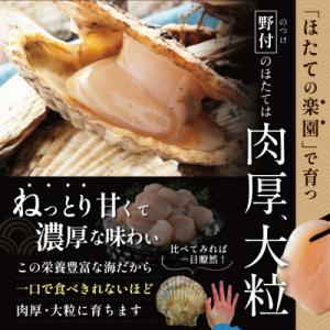 ふるさと納税 別海町 【希少】 ほたて貝柱 1...の詳細画像2