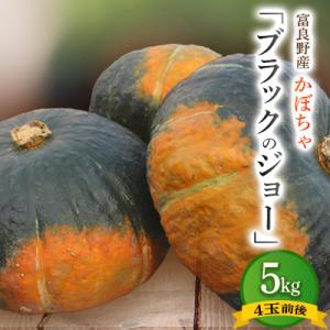 ふるさと納税 富良野市 北海道 富良野市産 かぼちゃ「ブラックのジョー」5kg【2026年10月上旬...