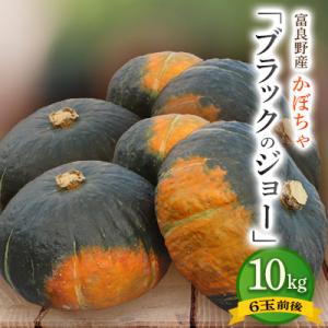 ふるさと納税 富良野市 北海道 富良野市産 かぼちゃ「ブラックのジョー」 10kg【2026年10月上旬より発送】