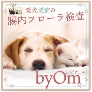 ふるさと納税 安芸太田町 愛犬/愛猫の腸内フローラ解析「byOm(バイオーム)」