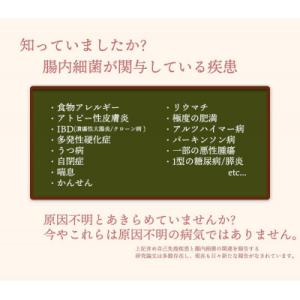 ふるさと納税 安芸太田町 愛犬/愛猫の腸内フロ...の詳細画像2