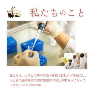 ふるさと納税 安芸太田町 愛犬/愛猫の腸内フロ...の詳細画像3
