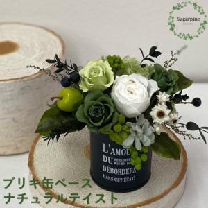 ふるさと納税 春日部市 プリザーブドフラワーアレンジ【ポム/ナチュラルグリーン】春日部市 シュガーパイン