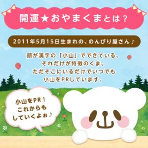 ふるさと納税 小山市 9/30受付終了 おやま...の詳細画像2