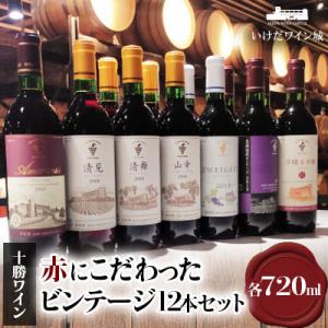 ふるさと納税 池田町 十勝ワイン 赤にこだわったビンテージ 12本セット
