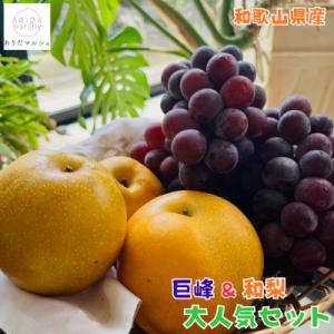 ふるさと納税 有田川町 【先行受付・2026年発送】朝採れ巨峰と旬の梨 大人気セット