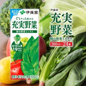 ふるさと納税 川南町 伊藤園の充実野菜 緑の野菜ミックス(紙パック)200ml×24本(川南町)