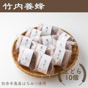 ふるさと納税 半田市 竹内養蜂のはちみつたっぷり生どら10個入