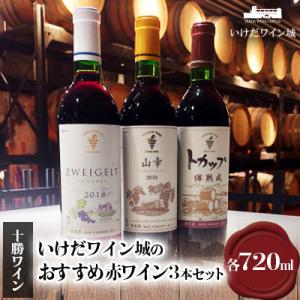 ふるさと納税 池田町 十勝ワイン いけだワイン城のおすすめ赤ワイン3本セット