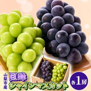ふるさと納税 山梨市 【2026年発送】大人気!巨峰・シャインマスカット食べ比べセット ふるさと納税 　