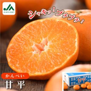 ふるさと納税 今治市 【先行予約】甘平 5kg 家庭用 高級柑橘 甘い KC00780