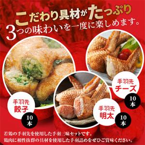 ふるさと納税 宮崎市 【宮崎製造】手羽三昧3種...の詳細画像2