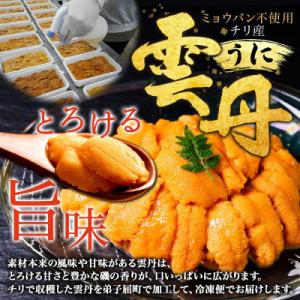 ふるさと納税 弟子屈町 ウニ 200g ホタテ...の詳細画像1