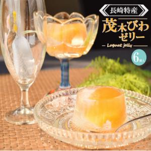 ふるさと納税 諫早市 長崎特産「茂木びわゼリー」(6個入り)