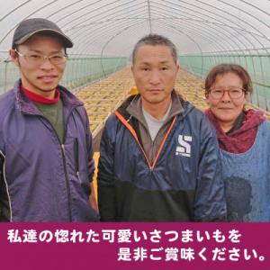 ふるさと納税 鉾田市 【2026年10月頃から...の詳細画像2