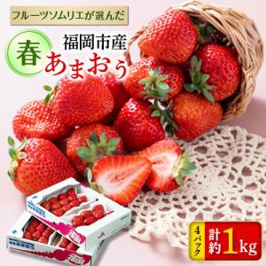 ふるさと納税 福岡市 【2026年発送先行受付】福岡市産春あまおう4パック【福岡市返礼品】 DX04